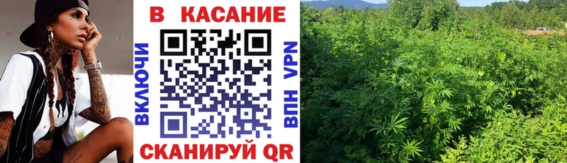 Как найти закладки Новочеркасск Амфетамин  Alpha PVP  Конопля  ГАШ  КОКАИН 