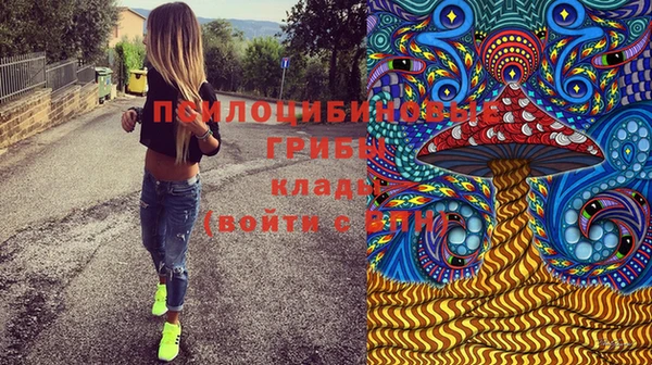 кокс Алексеевка