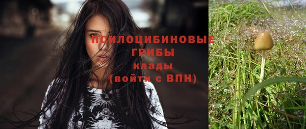 мескалин Алексин