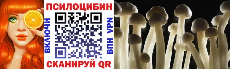 как найти наркотики  Новочеркасск  Псилоцибиновые грибы Magic Shrooms 